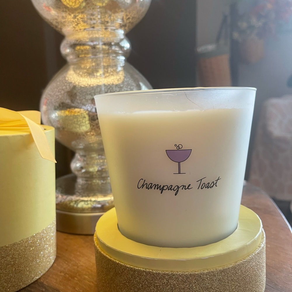 Bath & Body Works 3 wick 25oz Candle